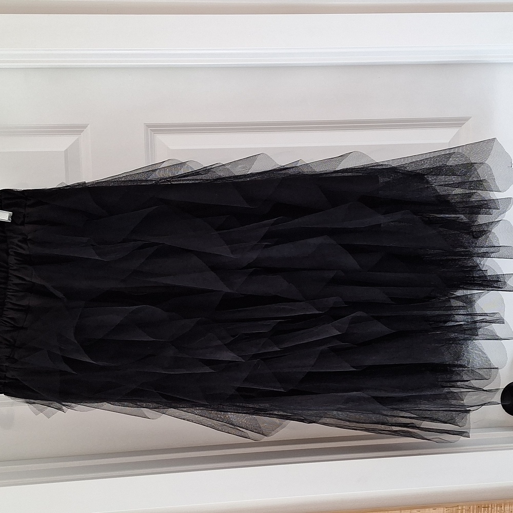 Back Tulle Skirt